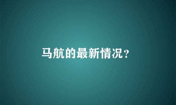 马航的最新情况？