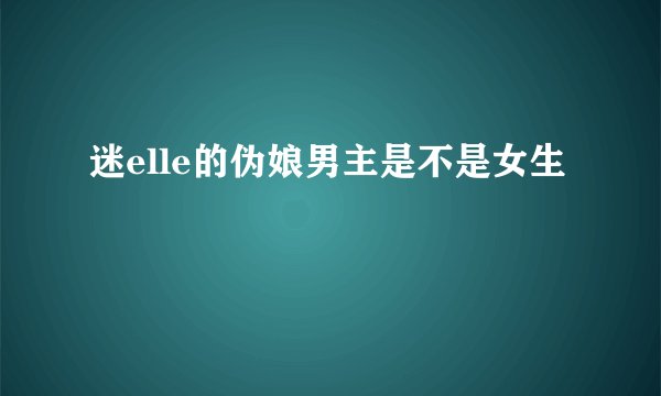 迷elle的伪娘男主是不是女生