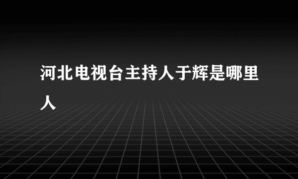 河北电视台主持人于辉是哪里人