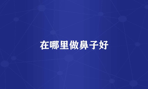 在哪里做鼻子好