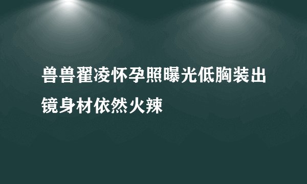 兽兽翟凌怀孕照曝光低胸装出镜身材依然火辣