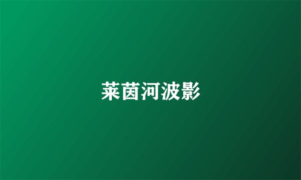 莱茵河波影
