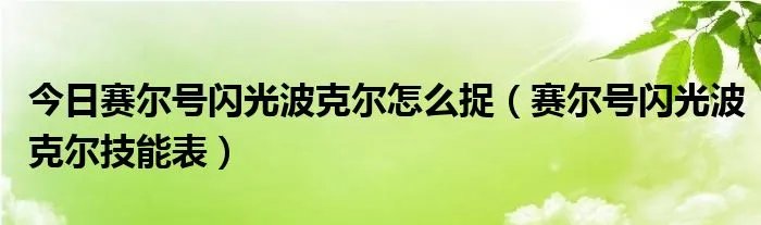 今日赛尔号闪光波克尔怎么捉（赛尔号闪光波克尔技能表）