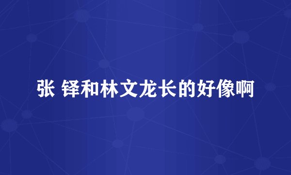张 铎和林文龙长的好像啊