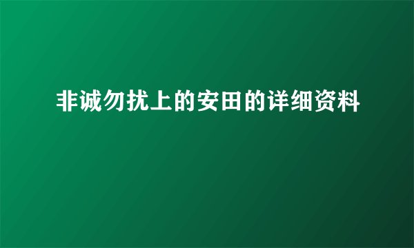 非诚勿扰上的安田的详细资料