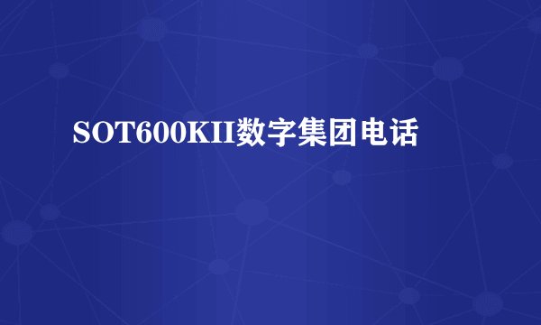 SOT600KII数字集团电话