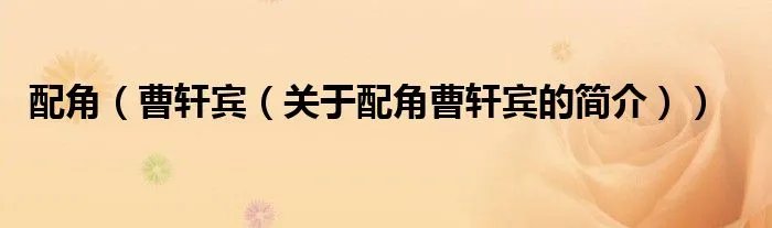 配角（曹轩宾（关于配角曹轩宾的简介））
