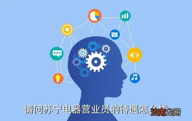 苏宁电器营业员,苏宁电器营业员工资怎么样