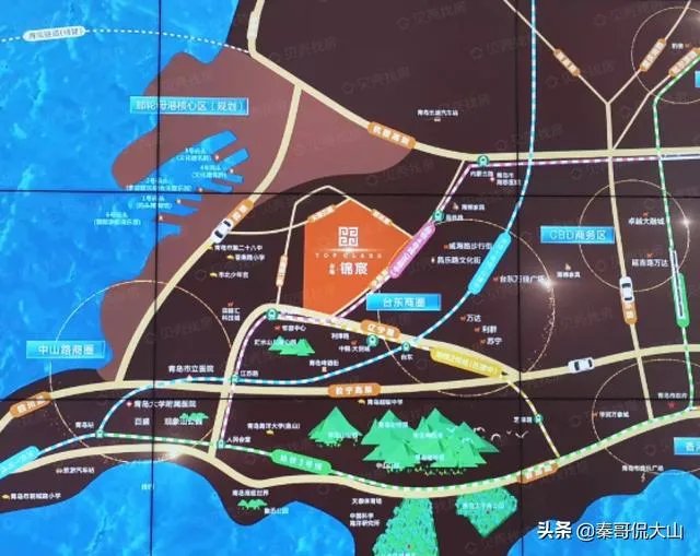 坐标青岛,首付100万内,靠地铁口,环境绿化好一点,主要考虑市南市北李沧,新房二手房都可,有推荐的吗?