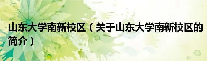山东大学南新校区（关于山东大学南新校区的简介）