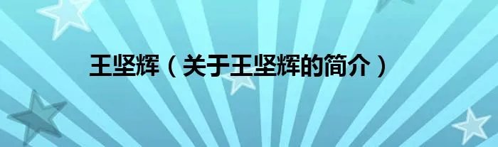王坚辉（关于王坚辉的简介）