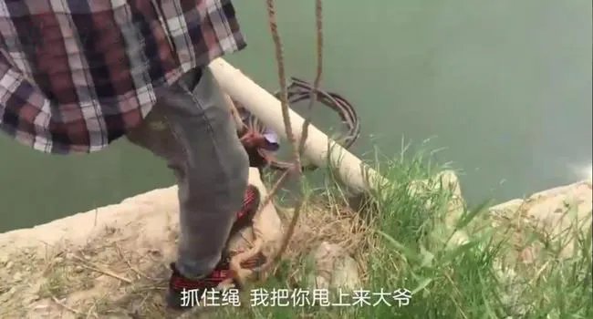 关于13岁少年智救80岁落水老人一事,你有何看法?