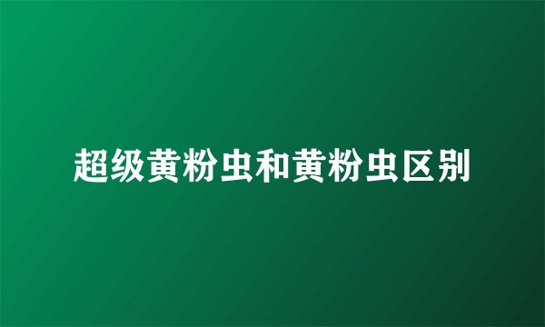 超级黄粉虫和黄粉虫区别