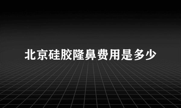 北京硅胶隆鼻费用是多少