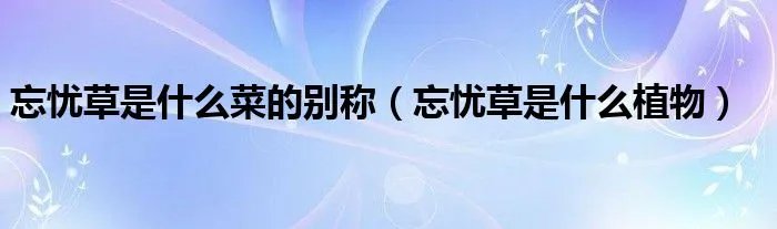 忘忧草是什么菜的别称（忘忧草是什么植物）