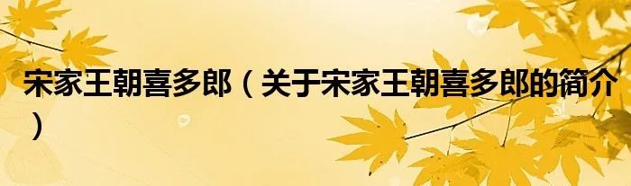 宋家王朝喜多郎（关于宋家王朝喜多郎的简介）
