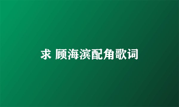 求 顾海滨配角歌词