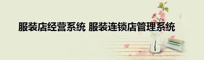 服装店经营系统 服装连锁店管理系统