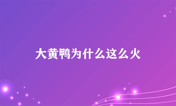 大黄鸭为什么这么火