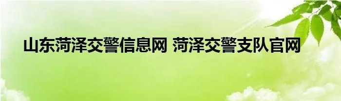 山东菏泽交警信息网 菏泽交警支队官网