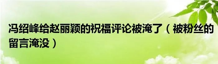 冯绍峰给赵丽颖的祝福评论被淹了（被粉丝的留言淹没）