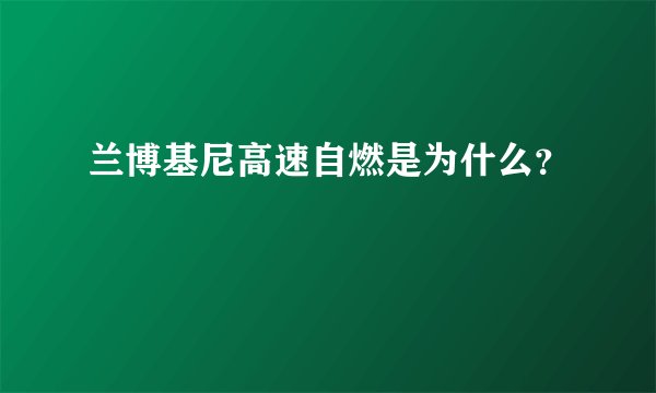 兰博基尼高速自燃是为什么？