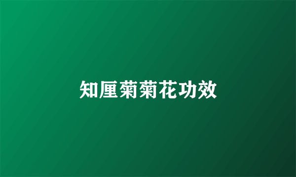知厘菊菊花功效
