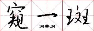 窥一斑