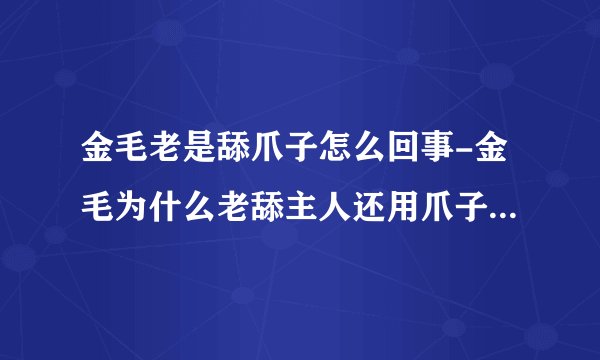 金毛老是舔爪子怎么回事-金毛为什么老舔主人还用爪子挠主人咋回事?