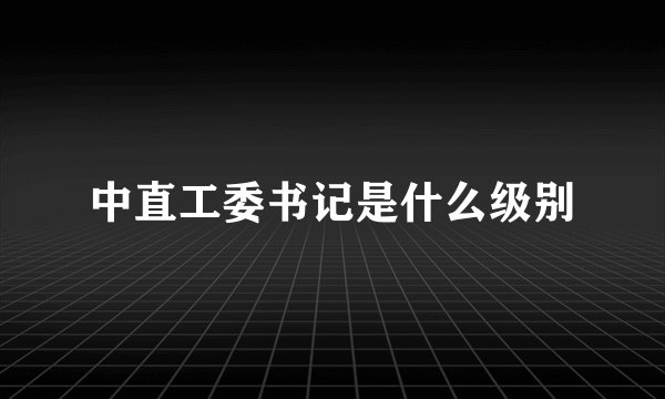 中直工委书记是什么级别