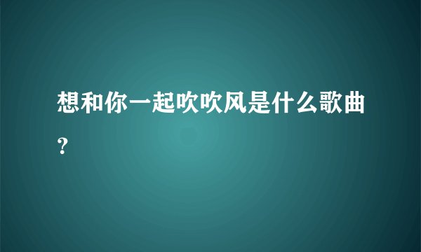 想和你一起吹吹风是什么歌曲？