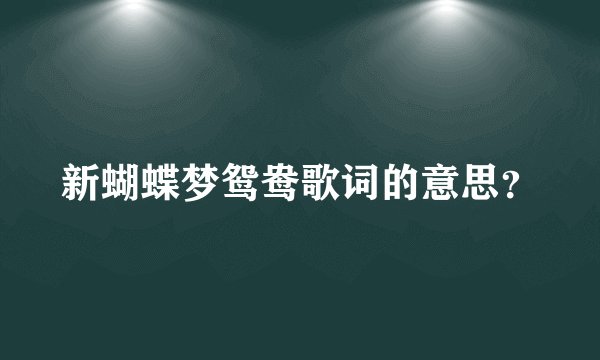新蝴蝶梦鸳鸯歌词的意思？