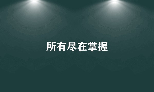 所有尽在掌握
