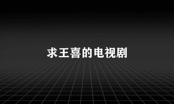 求王喜的电视剧