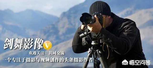 佳能100-400mm镜头的画质怎么样?