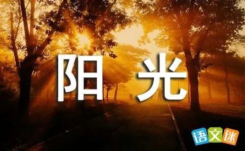 收集阳光