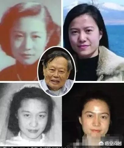 翁帆为何会嫁给杨振宁?