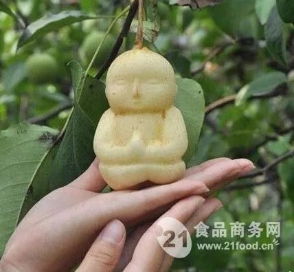 批把果的名称