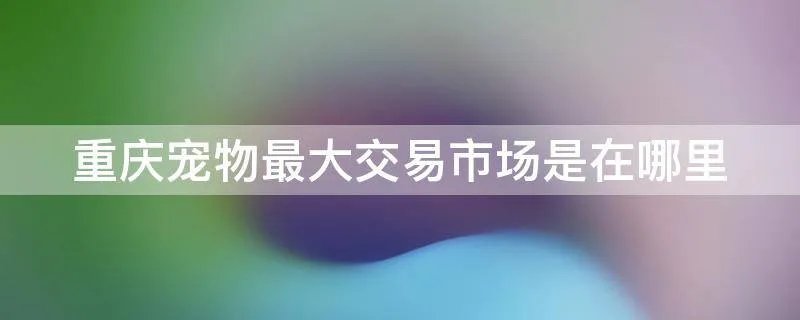 重庆宠物最大交易市场是在哪里