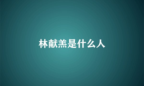 林献羔是什么人