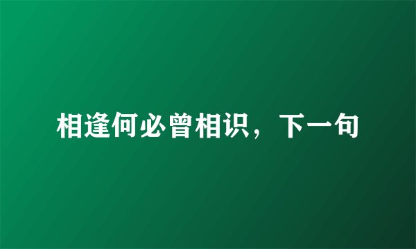相逢何必曾相识，下一句