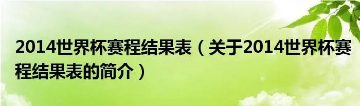 2014世界杯赛程结果表（关于2014世界杯赛程结果表的简介）