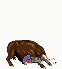 一往无前属什么生肖