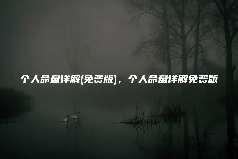 个人命盘详解(免费版),个人命盘详解免费版