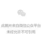 夜跑的好处