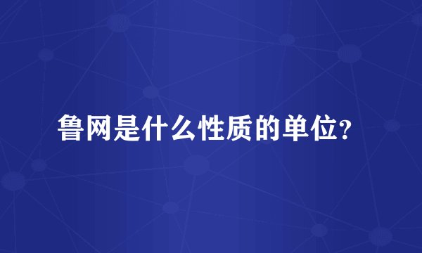鲁网是什么性质的单位？