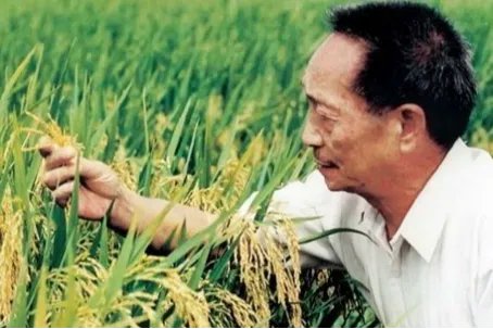袁隆平说过的话
