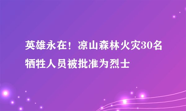 英雄永在！凉山森林火灾30名牺牲人员被批准为烈士