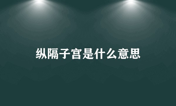 纵隔子宫是什么意思