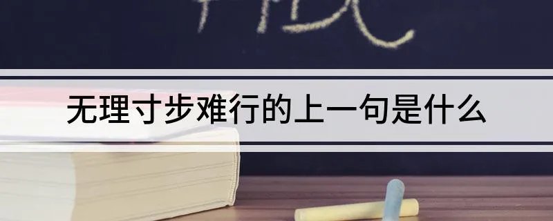 无理寸步难行的上一句是什么